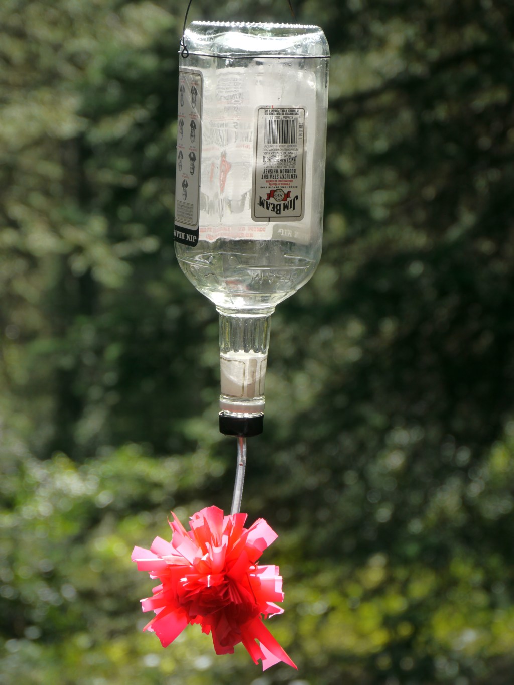 Humming Birds in Mexico and Corbin Team up and Save us&nbsp;2012-13