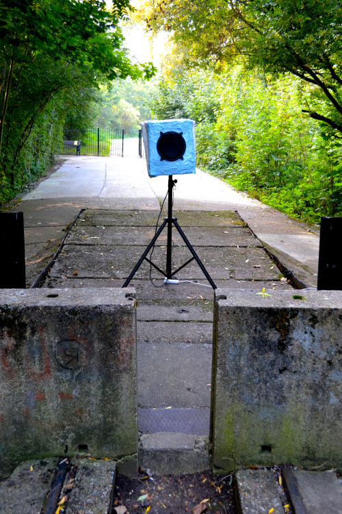 tumblr_inline_nwmvah2g3x1rqazps_500